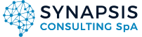 Synapsis Consulting